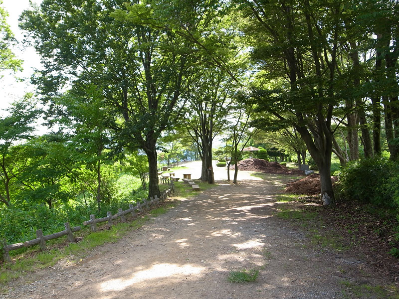 池田市五月山公園犬散歩