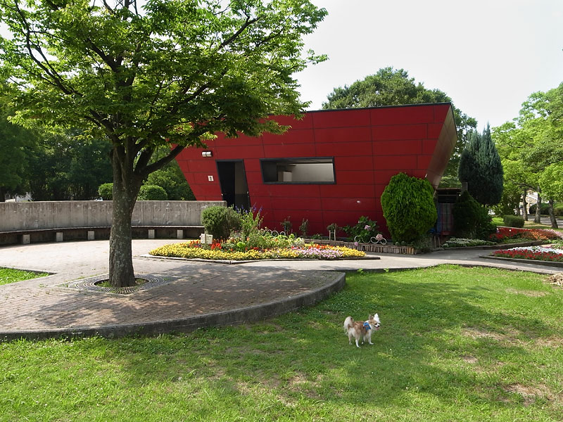 千里北公園犬お散歩