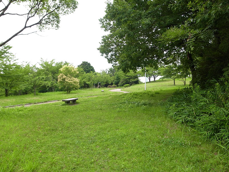 千里中央公園犬散歩