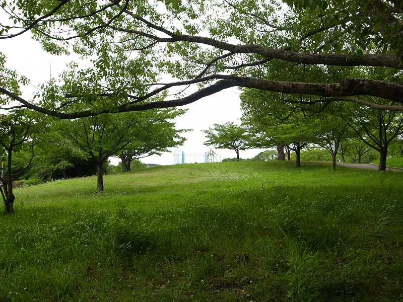 千里中央公園犬散歩