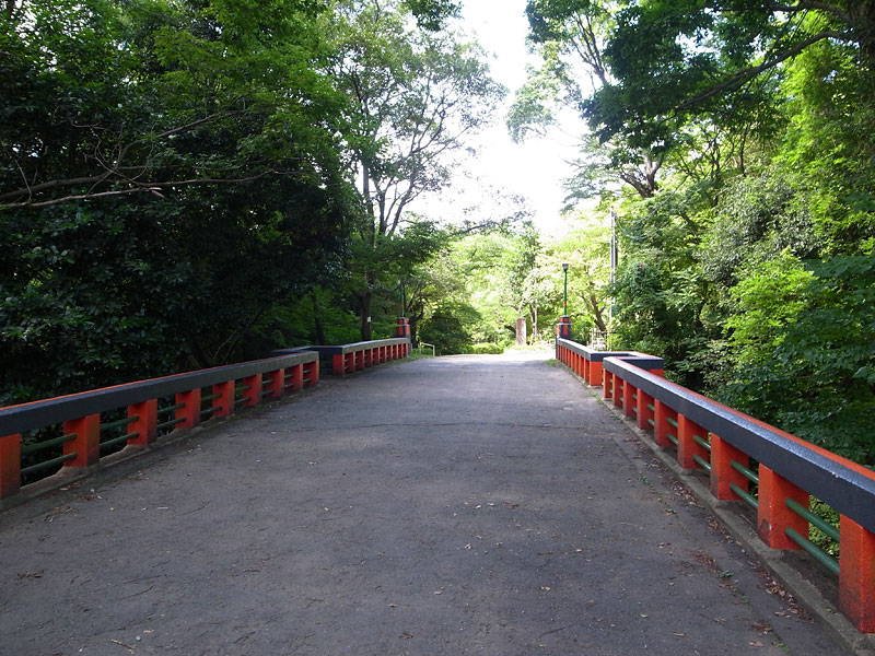 池田市五月山公園犬散歩