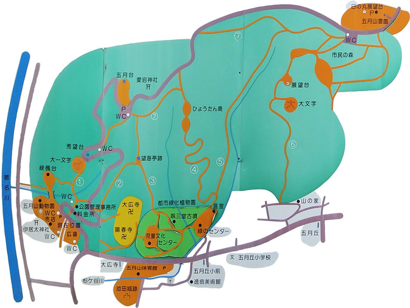 池田市五月山公園犬散歩