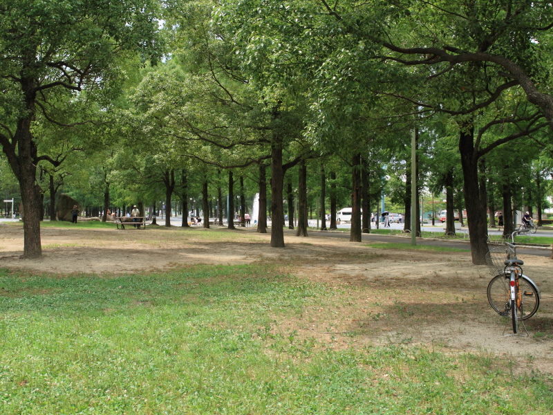 大阪鶴見緑地公園犬散歩