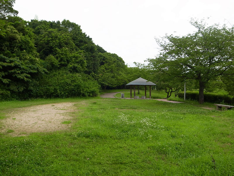 千里中央公園犬散歩