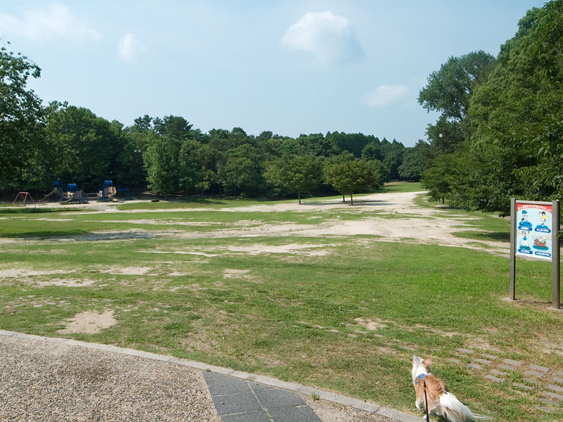 大阪府服部緑地公園犬