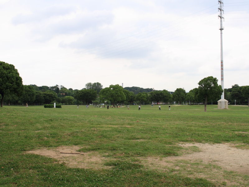 大阪鶴見緑地公園犬散歩