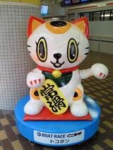 トコタンロボット東門
