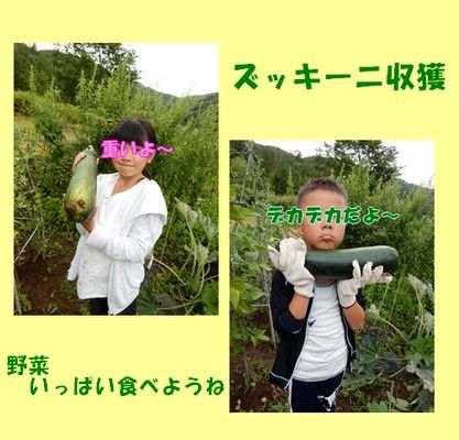 ¥º¥Ã¥¡¼¥Ë3