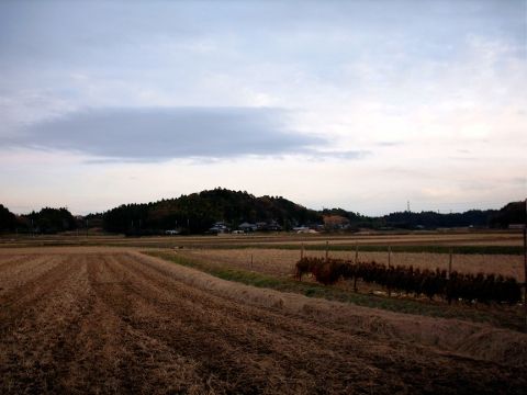 rj031香取t4u05