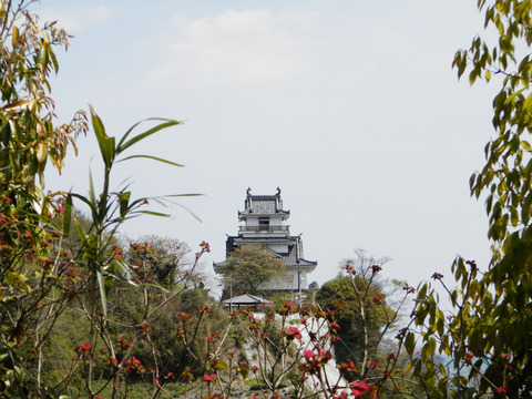 ②07杵築城遠景