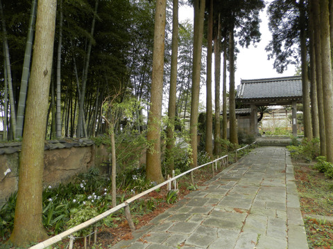 ②76養徳寺
