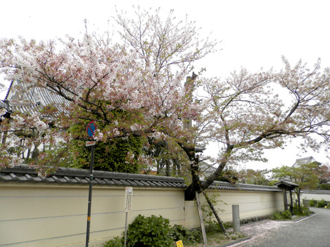 ①51寺町