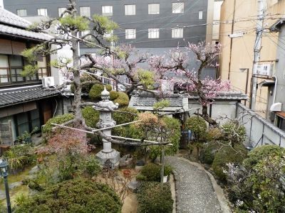皆花楼06
