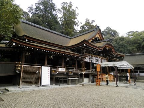 rj大神015
