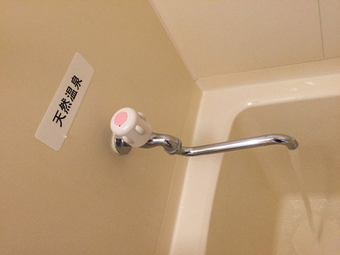 ②65bいな里バス