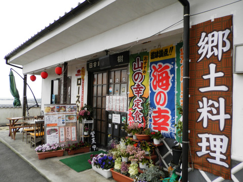 ②101松樹