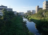 野川