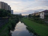 野川
