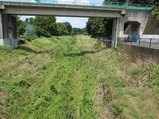 野川