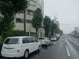 環八