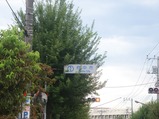 府中