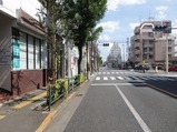 井の頭通り