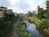 野川