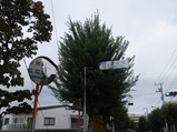 府中