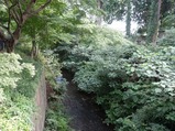 玉川上水