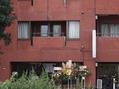 環八