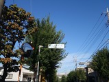 府中