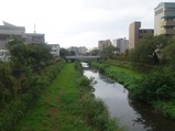 野川