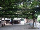 国領