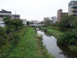 野川