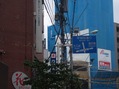 新宿
