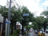 成蹊通り
