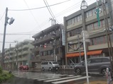 城山通り