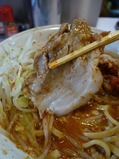 豚