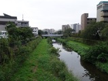 野川