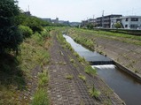 大栗川