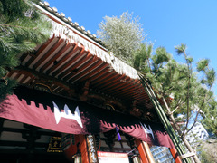 DSCN3568