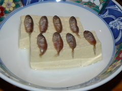 2009/02_��Ǽ�ĤФ�3