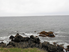 DSCN0461