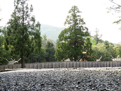 DSCN5327