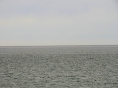 DSCN0463