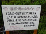 2007/4_オークウッド3
