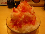 2007/8_むさし坊東川口7