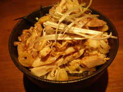 2009/08_SHIBA3