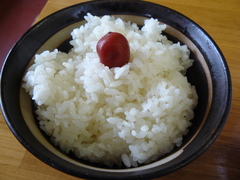 2009/04_����3