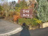 2006/12_OAKWOOD1